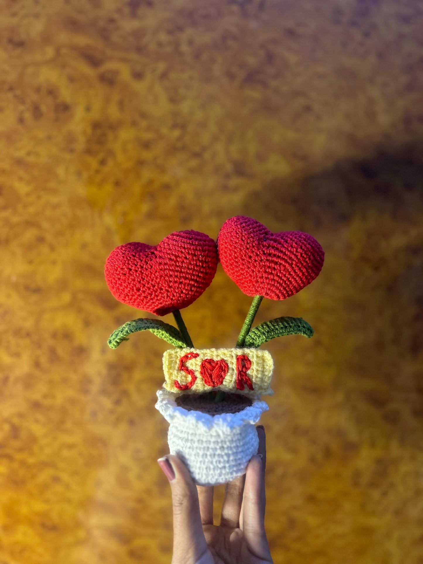 Love in a Pot ( Heart Plant )